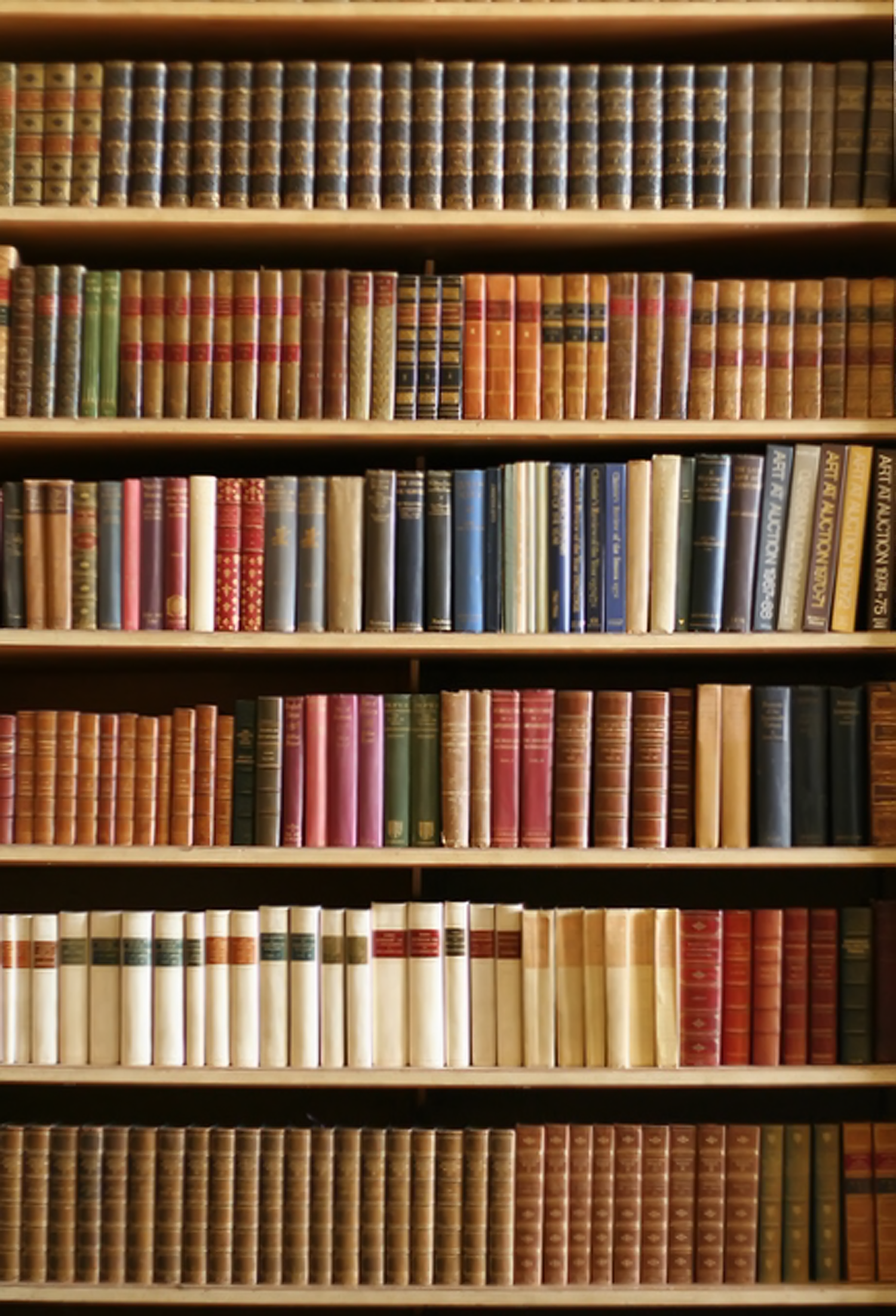 NOWE KSIĄŻKI DO NASZEJ BIBLIOTEKI